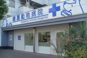 img-ayazono-1.jpg