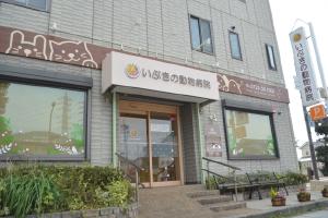 img-ibukino-1.jpg