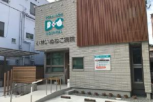 img-kobayashi-1.jpg