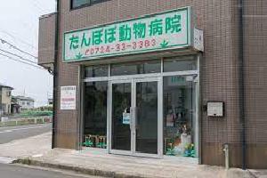 img-tanpopo-1.jpg