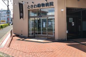 img-tokiwa-1.jpg